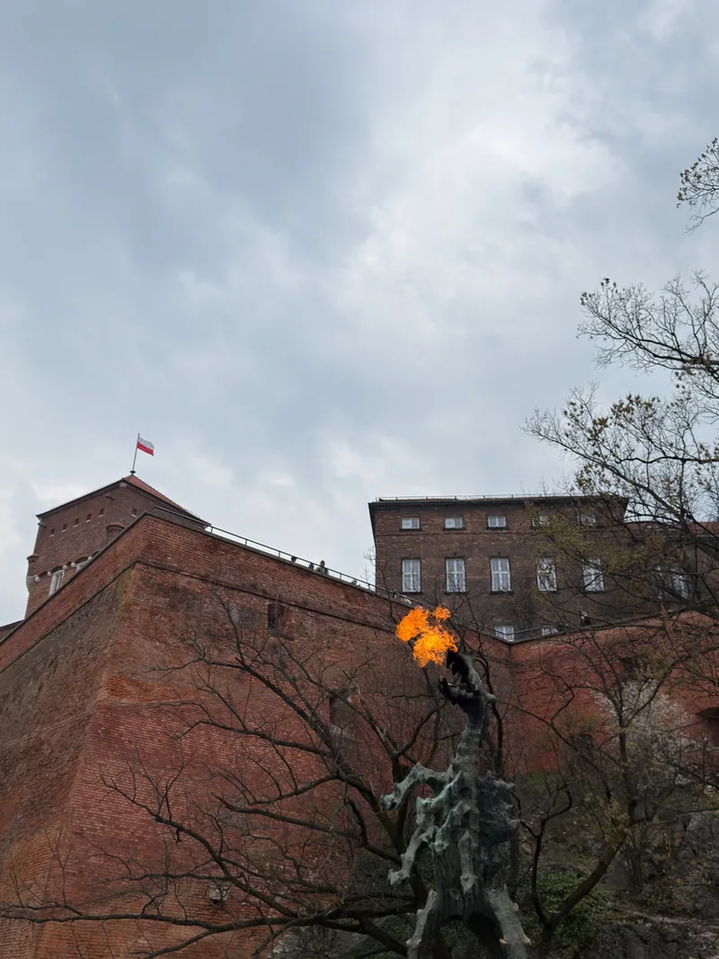 Le dragon de Cracovie crache de vraies flammes