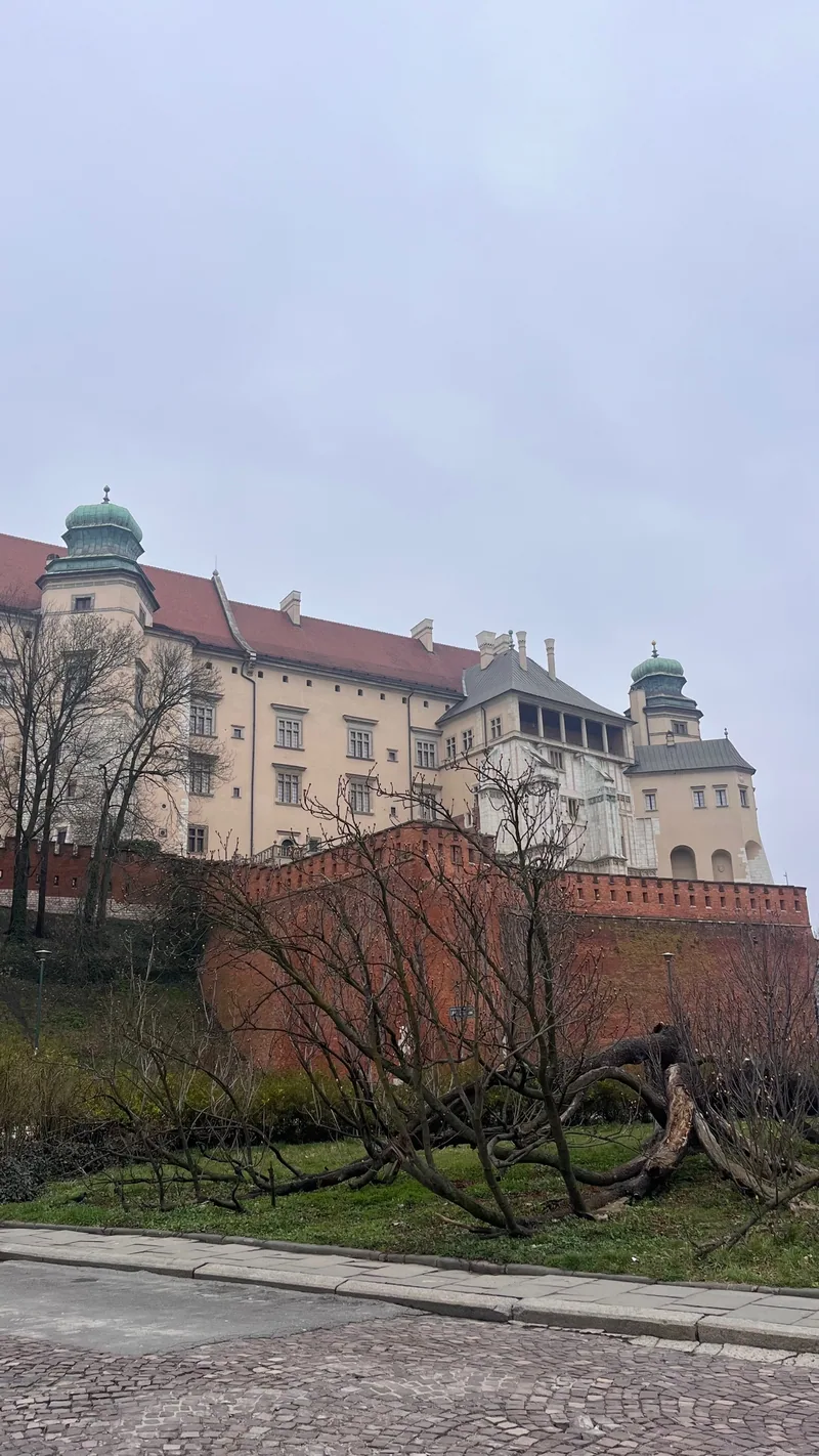 La tour du Wawel et son drapeau