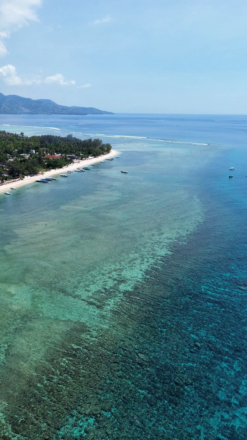 La barrière de corail dessine le contour de l'île