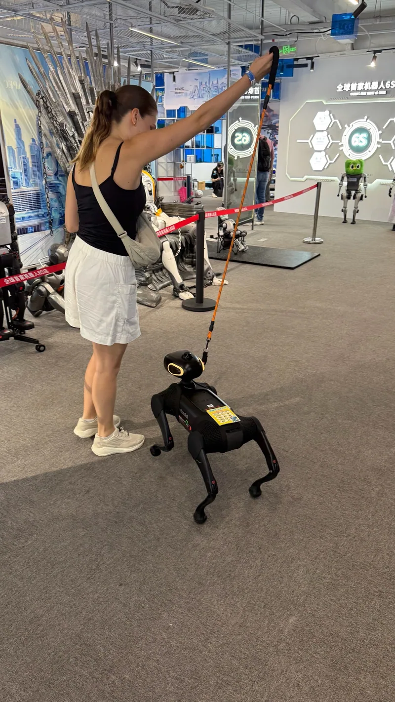 La promenade du chien… robot