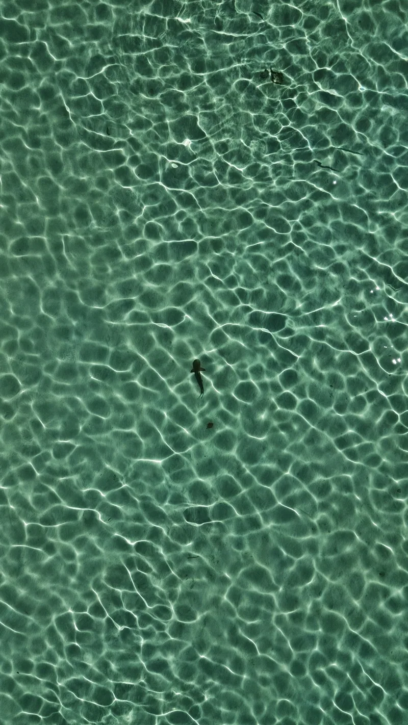 L'eau est transparente jusqu'au fond